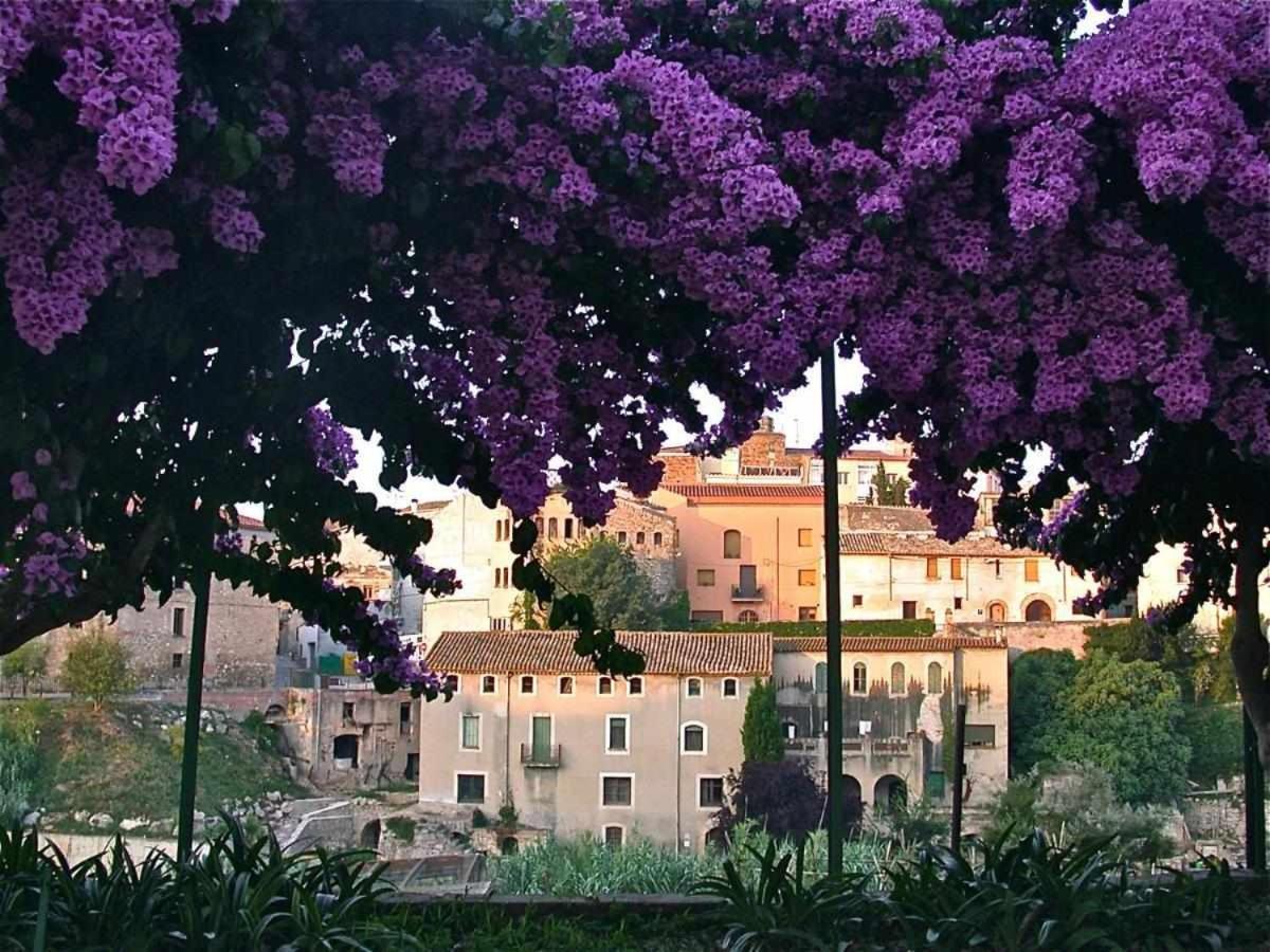 Hotel Rural Hd Riudebitlles Art I Allotjament Sant Pere de Riudebitlles Eksteriør billede