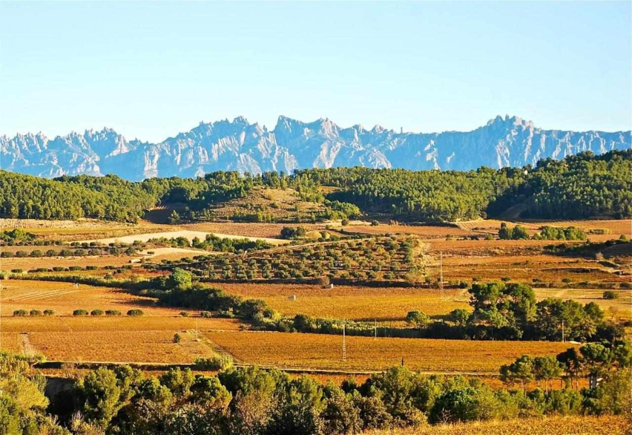 Hotel Rural Hd Riudebitlles Art I Allotjament Sant Pere de Riudebitlles Eksteriør billede